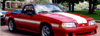 1987-93 SAAC Mustang Dual Lemans Stripes - Hatchback - No Spoiler
